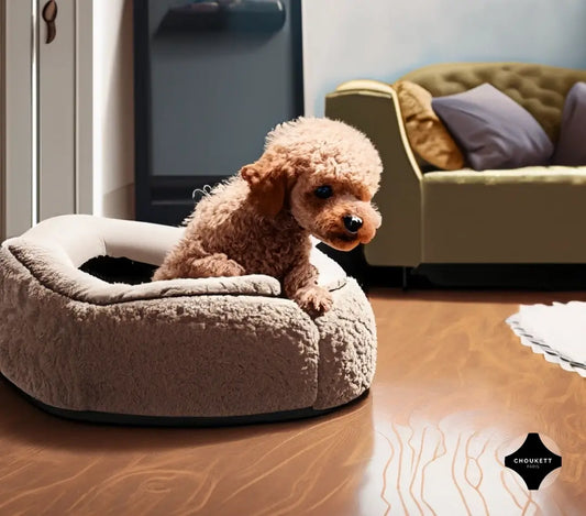Mon chien a des puces, que faire ?