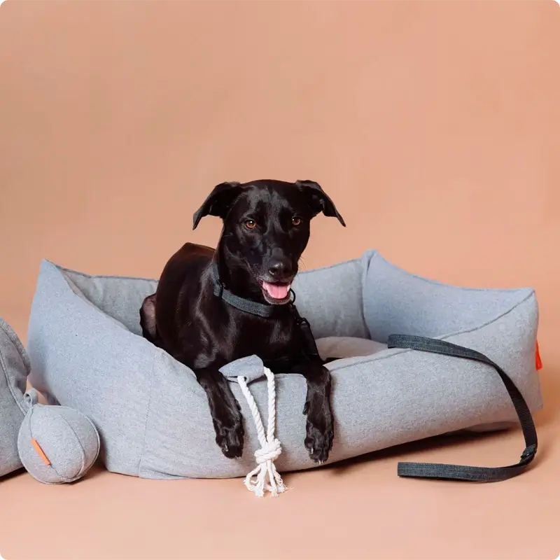 Lit pour Chien Grey Molly & Stitch - Alpine - CHOUKETT Paris (5)
