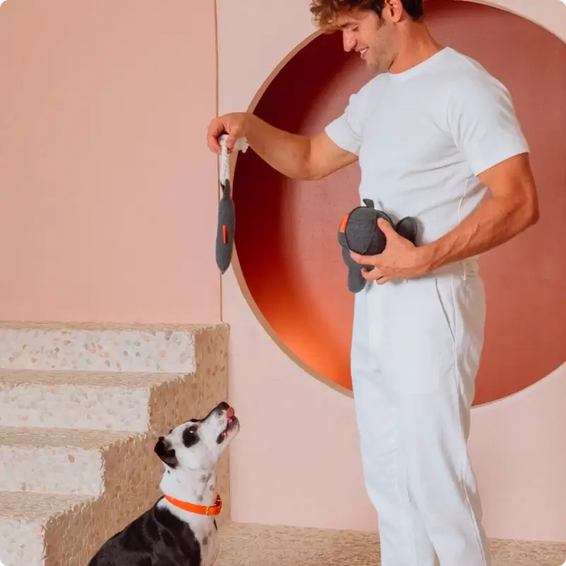 Jeu Tir à la Corde pour Chien Grey Molly & Stitch - Alpine - CHOUKETT Paris (5)