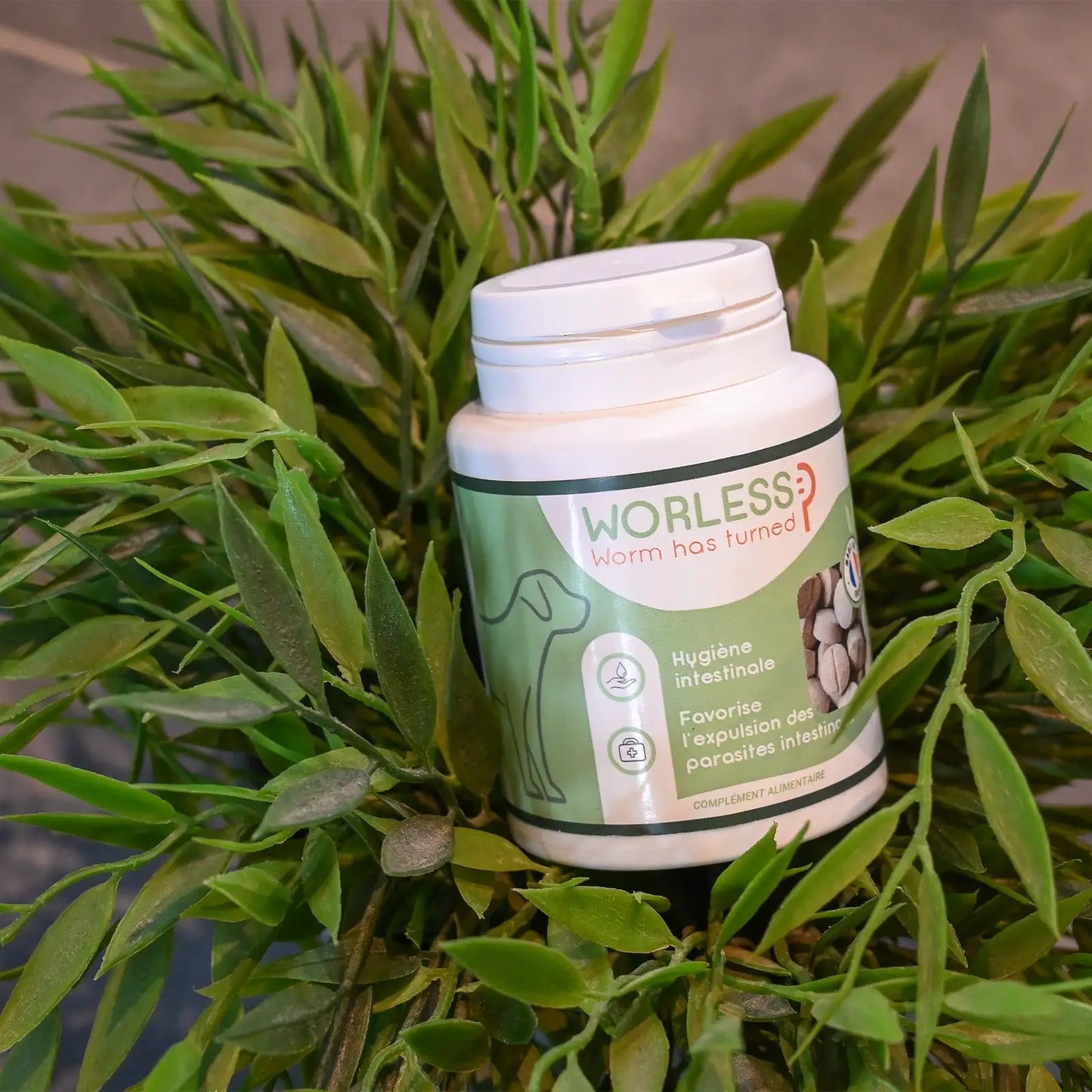 Anti-parasitaires Worless Happy Scoop - CHOUKETT Paris (4)