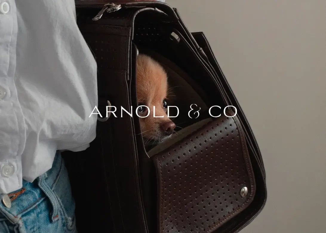 Bannière Vente Permanente Arnold&Co 0625 - CHOUKETT Paris