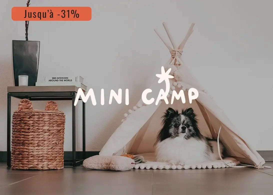 Bannière Vente Privée Minicamp 0525 - CHOUKETT Paris