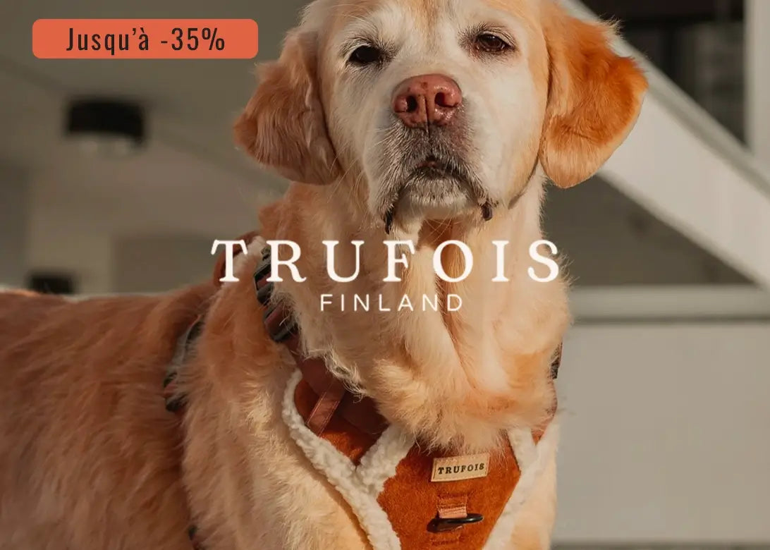 Bannière Vente Privée Trufois 0525 - CHOUKETT Paris