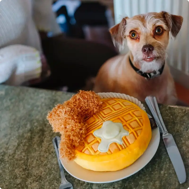 Peluche Gaufre au poulet P.L.A.Y. - Barking Brunch Collection - CHOUKETT Paris (10)