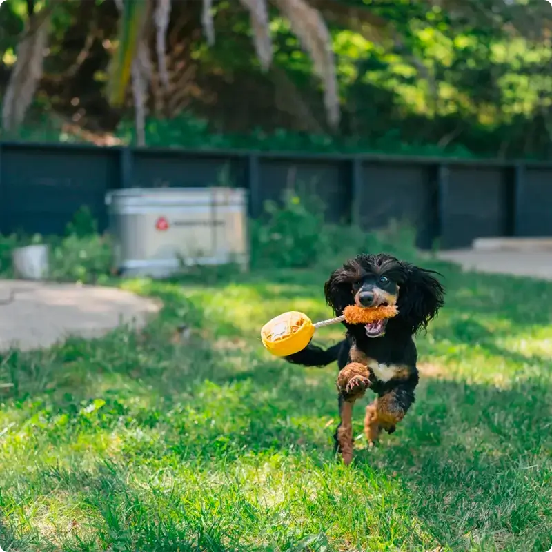 Peluche Gaufre au poulet P.L.A.Y. - Barking Brunch Collection - CHOUKETT Paris (7)
