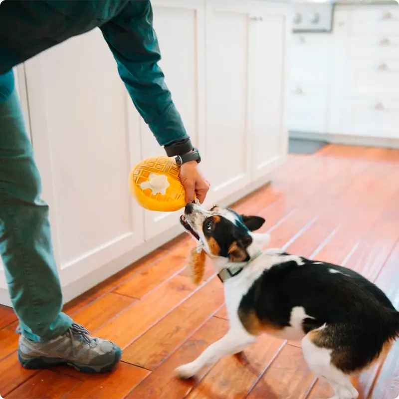 Peluche Gaufre au poulet P.L.A.Y. - Barking Brunch Collection - CHOUKETT Paris (9)