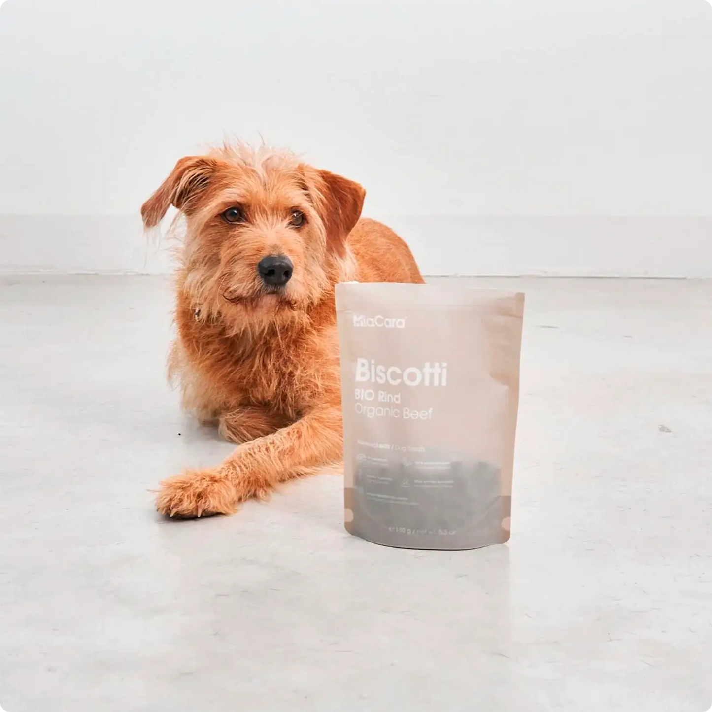 Friandises pour chien Biscotti Gibier MiaCara - CHOUKETT Paris (2)