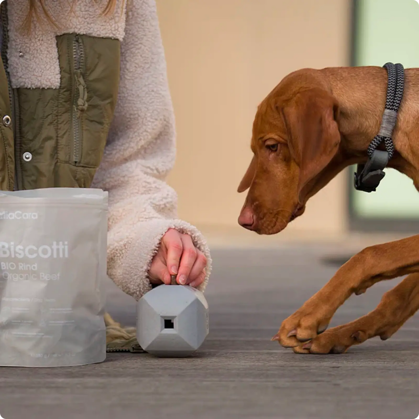 Lot de Friandises pour chien Biscotti Boeuf Bio / Dinde Bio / Gibier MiaCara - CHOUKETT Paris (9)