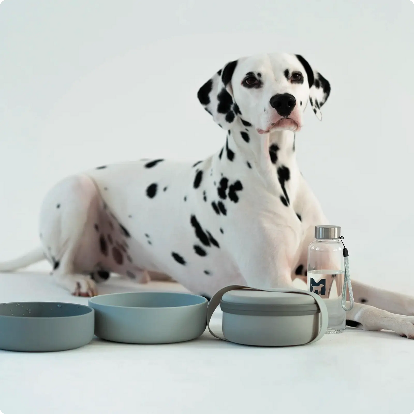 Bouteille Bottiglia MiaCara - CHOUKETT Paris (3)