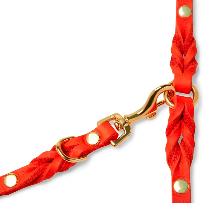 Laisse ajustable 3x chien Mango Molly & Stitch - Butter Leather - CHOUKETT Paris (3)