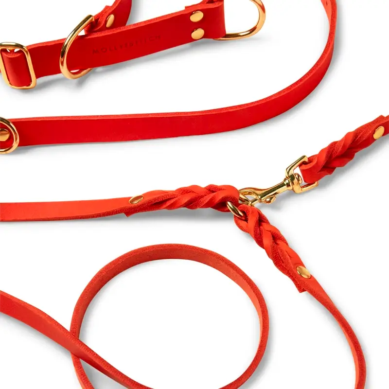 Laisse ajustable 3x chien Mango Molly & Stitch - Butter Leather - CHOUKETT Paris (6)