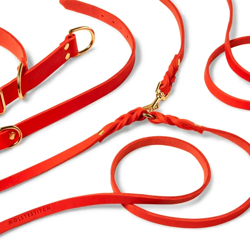 Laisse ajustable 3x chien Mango Molly & Stitch - Butter Leather - CHOUKETT Paris (7)