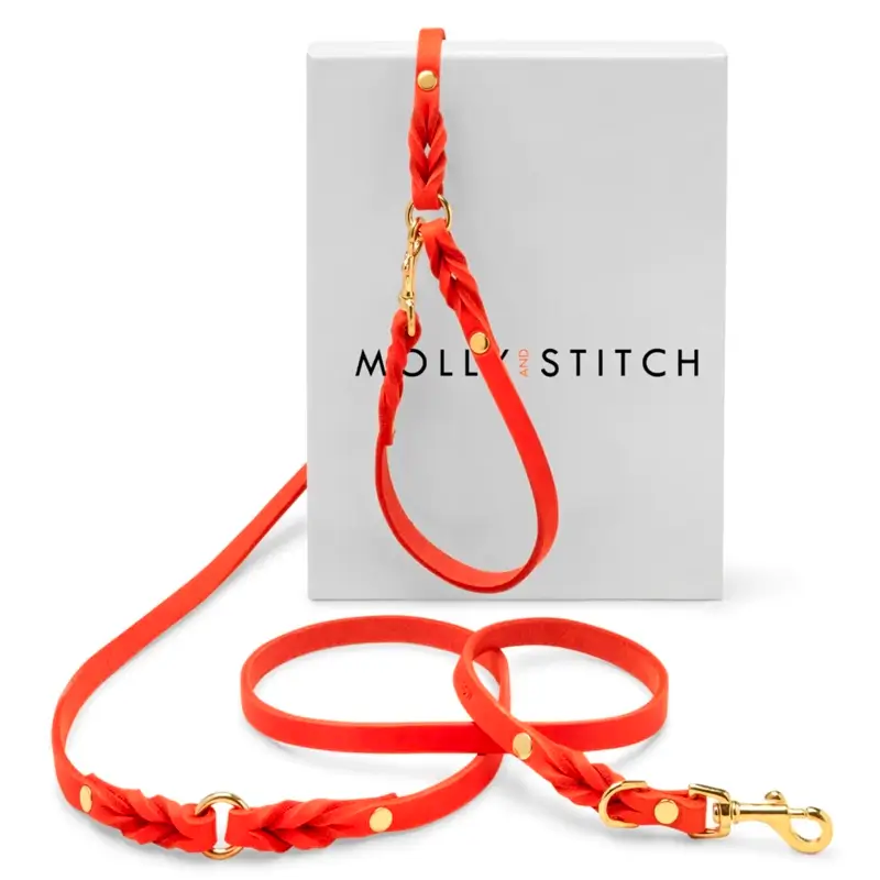 Laisse ajustable 3x chien Mango Molly & Stitch - Butter Leather - CHOUKETT Paris (5)
