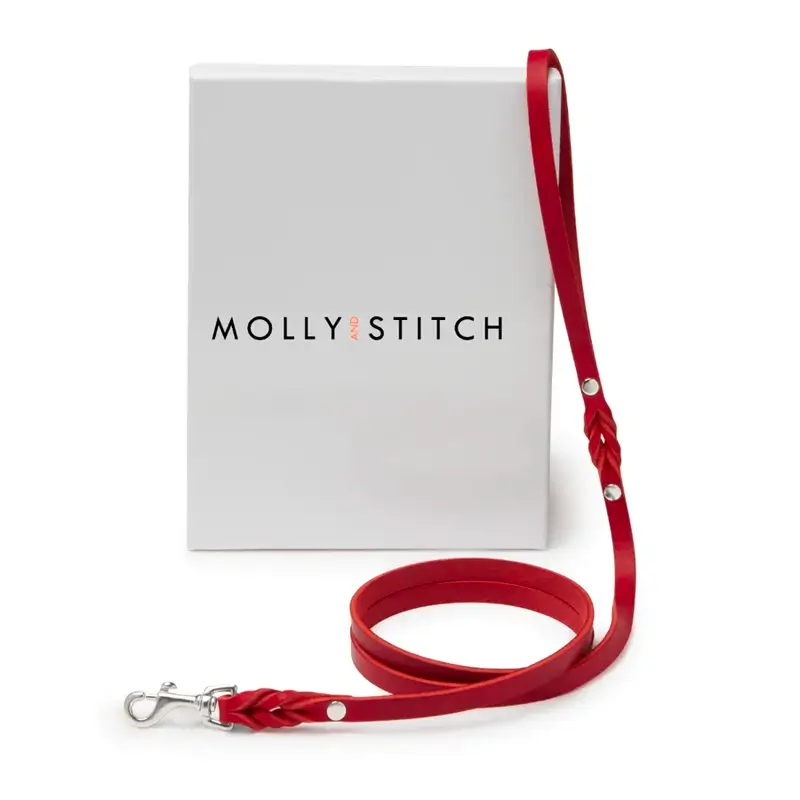 Laisse chien Chili Red Molly & Stitch - Butter Leather - CHOUKETT Paris (6)