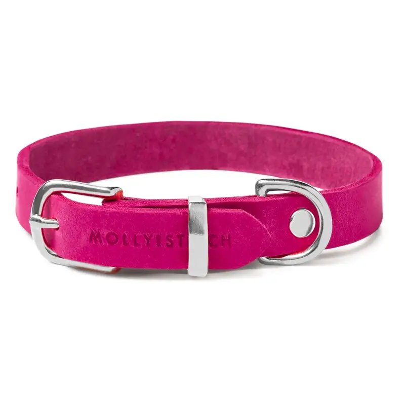 Collier chien Flamingo Molly & Stitch - Butter Leather - CHOUKETT Paris (3)