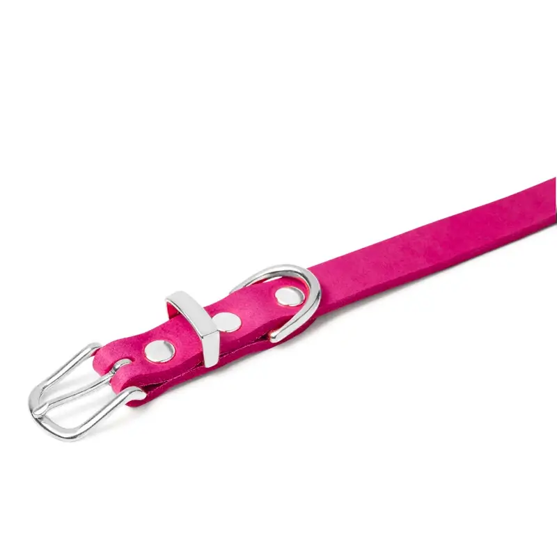 Collier chien Flamingo Molly & Stitch - Butter Leather - CHOUKETT Paris (4)