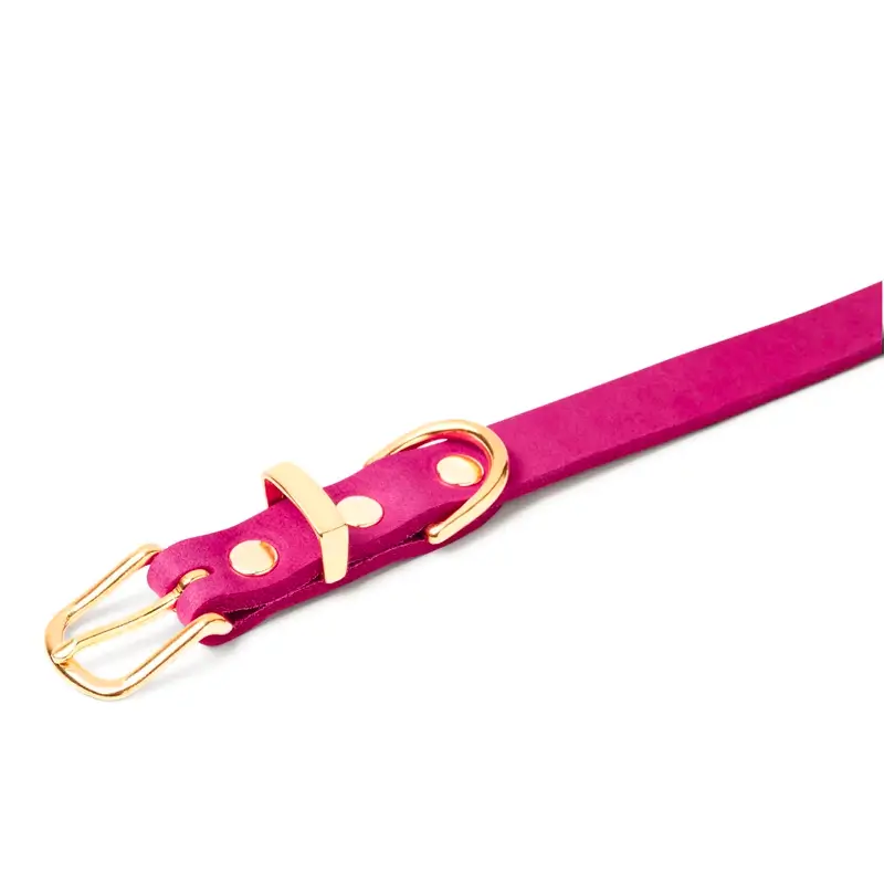 Collier chien Flamingo Molly & Stitch - Butter Leather - CHOUKETT Paris (2)