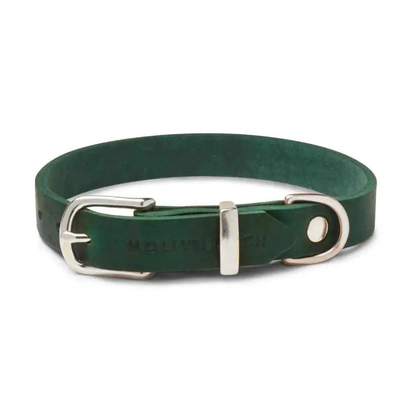 Collier chien Forest Green Molly & Stitch - Butter Leather - CHOUKETT Paris (3)
