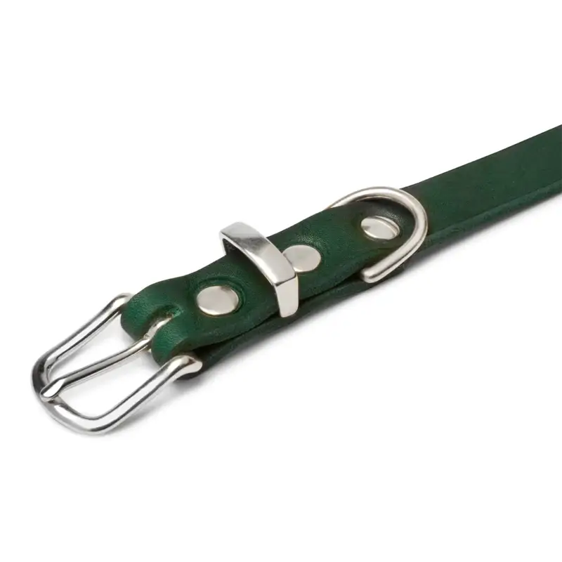 Collier chien Forest Green Molly & Stitch - Butter Leather - CHOUKETT Paris (4)