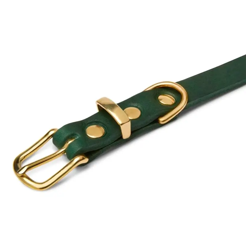 Collier chien Forest Green Molly & Stitch - Butter Leather - CHOUKETT Paris (2)