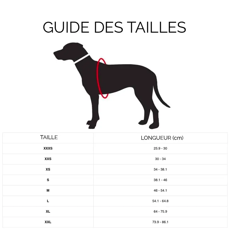 Harnais chien Chili Red Molly & Stitch - Butter Leather - CHOUKETT Paris (7)