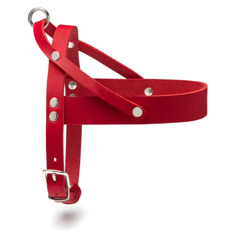 Harnais chien Chili Red Molly & Stitch - Butter Leather - CHOUKETT Paris (4)