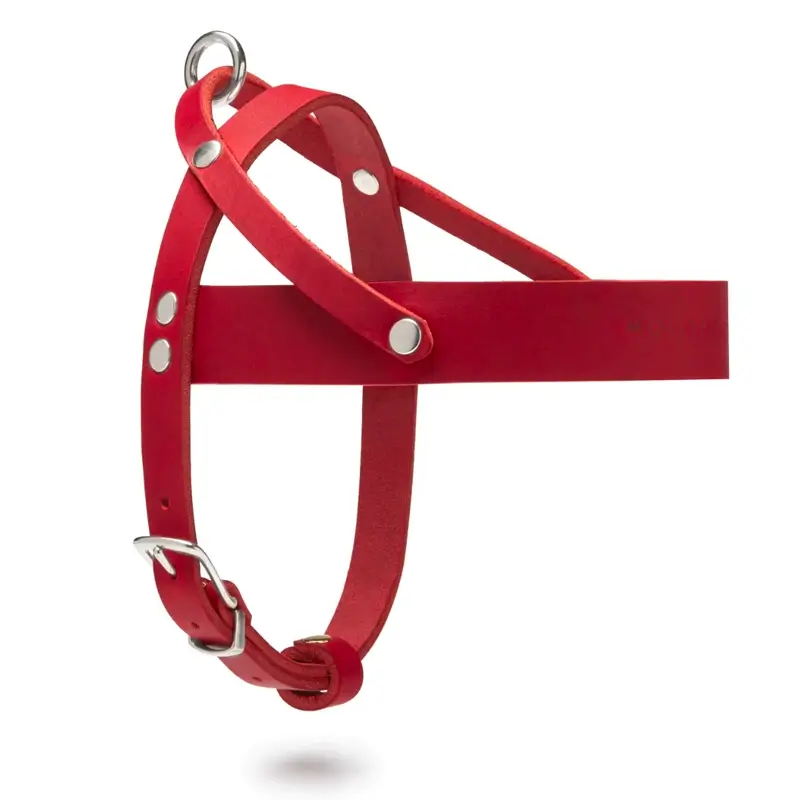 Harnais chien Chili Red Molly & Stitch - Butter Leather - CHOUKETT Paris (5)