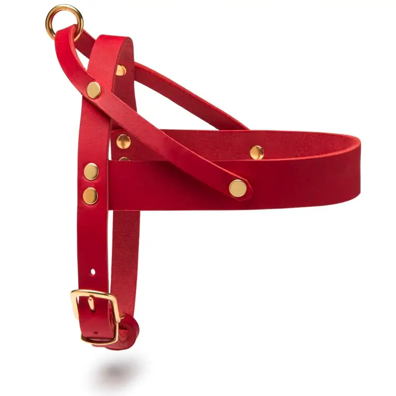 Harnais chien Chili Red Molly & Stitch - Butter Leather - CHOUKETT Paris (1)