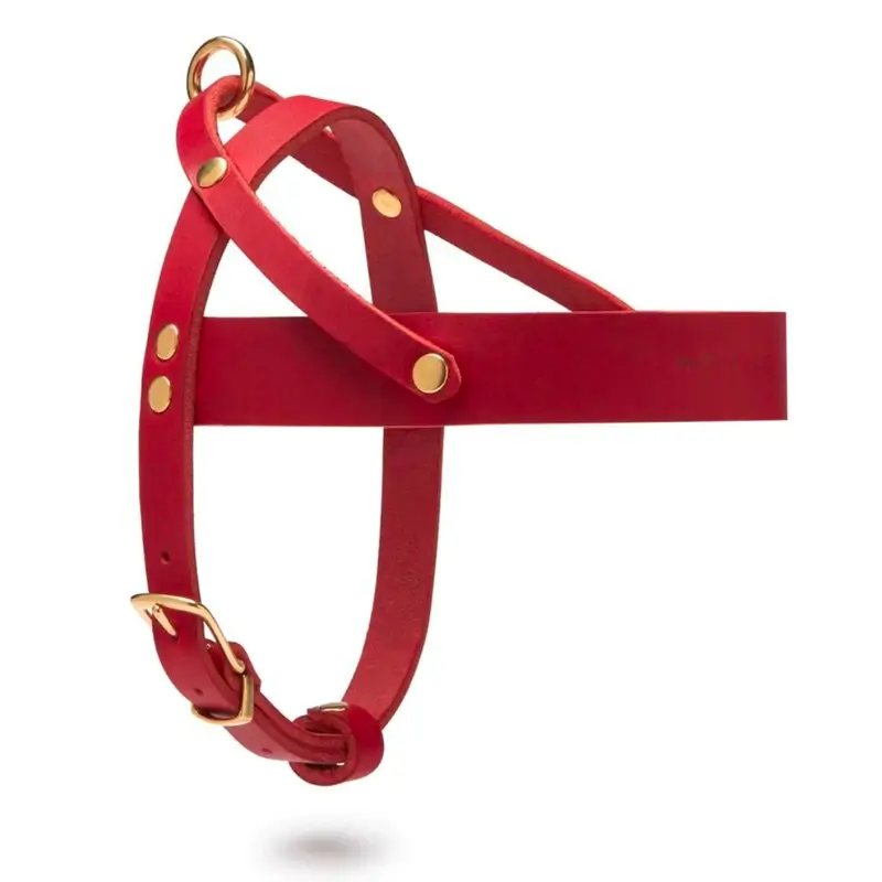 Harnais chien Chili Red Molly & Stitch - Butter Leather - CHOUKETT Paris (2)