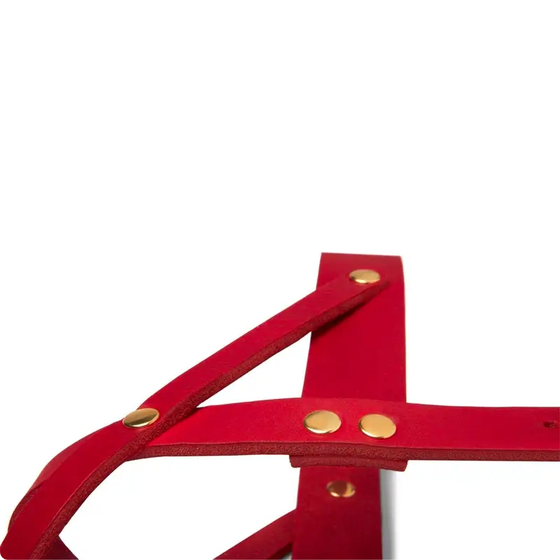 Harnais chien Chili Red Molly & Stitch - Butter Leather - CHOUKETT Paris (3)
