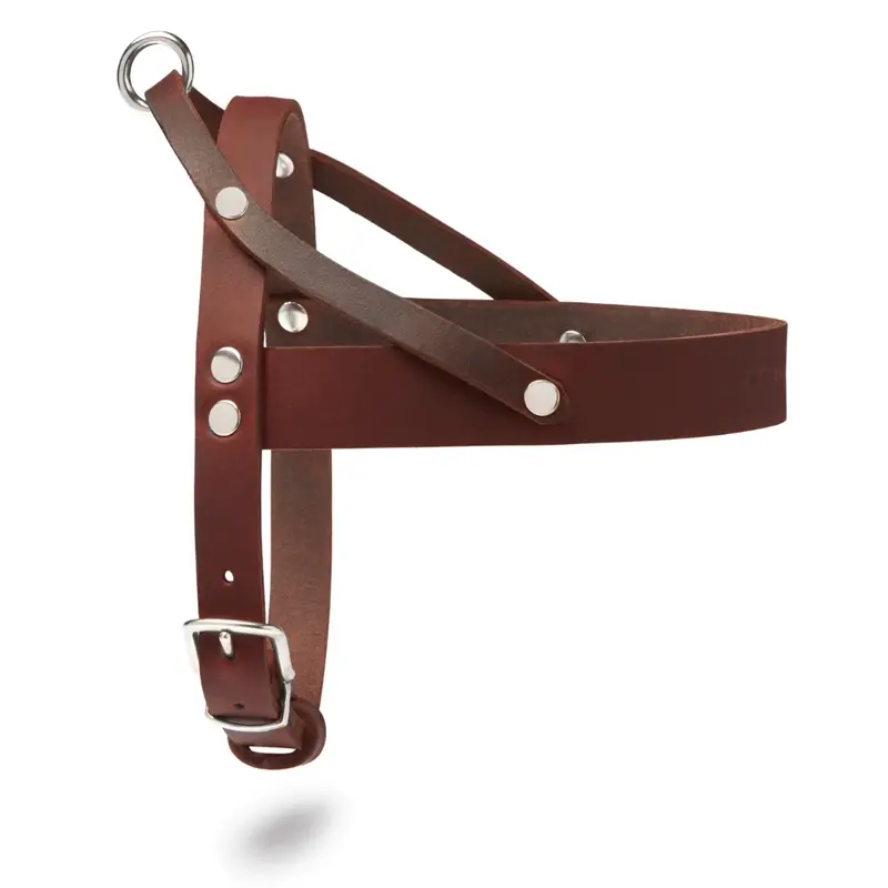 Harnais chien Classic Brown Molly & Stitch - Butter Leather - CHOUKETT Paris (4)