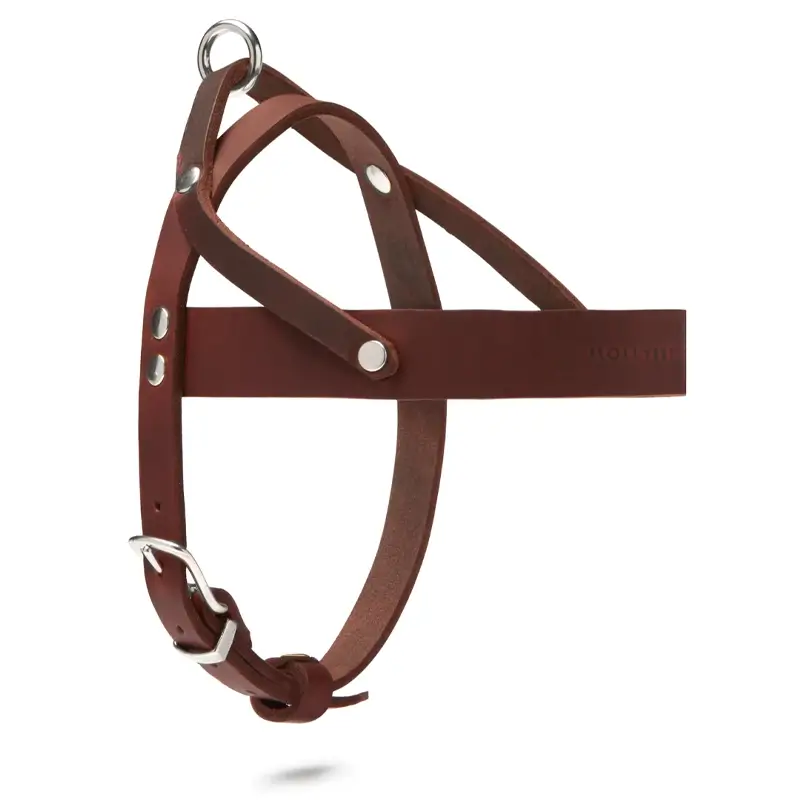 Harnais chien Classic Brown Molly & Stitch - Butter Leather - CHOUKETT Paris (5)