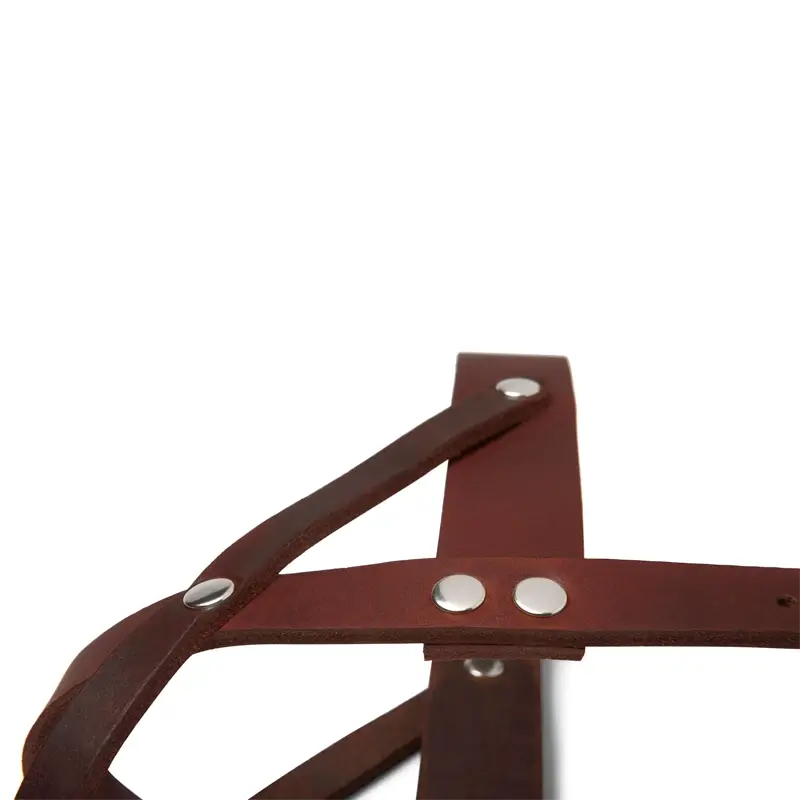 Harnais chien Classic Brown Molly & Stitch - Butter Leather - CHOUKETT Paris (6)