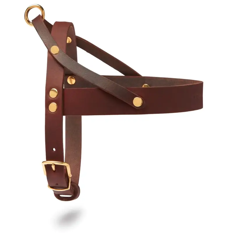 Harnais chien Classic Brown Molly & Stitch - Butter Leather - CHOUKETT Paris (1)
