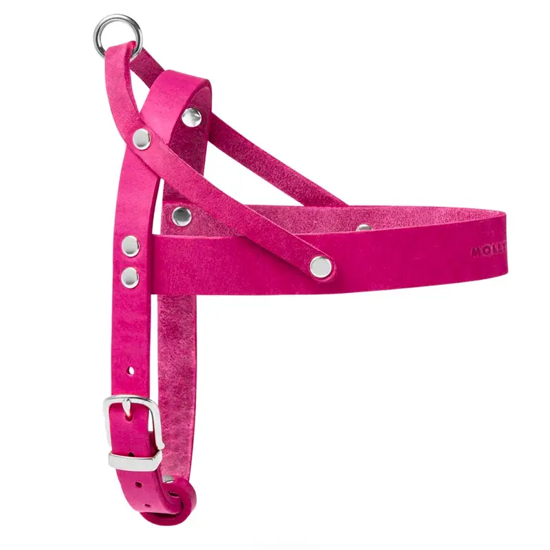 Harnais chien Flamingo Molly & Stitch - Butter Leather - CHOUKETT Paris (4)