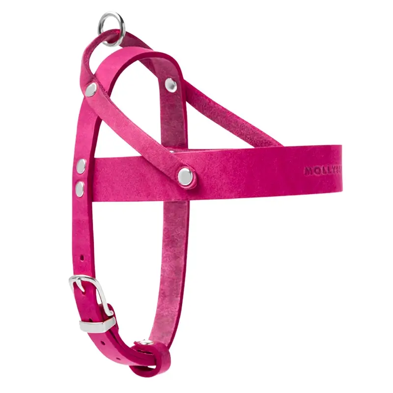 Harnais chien Flamingo Molly & Stitch - Butter Leather - CHOUKETT Paris (5)