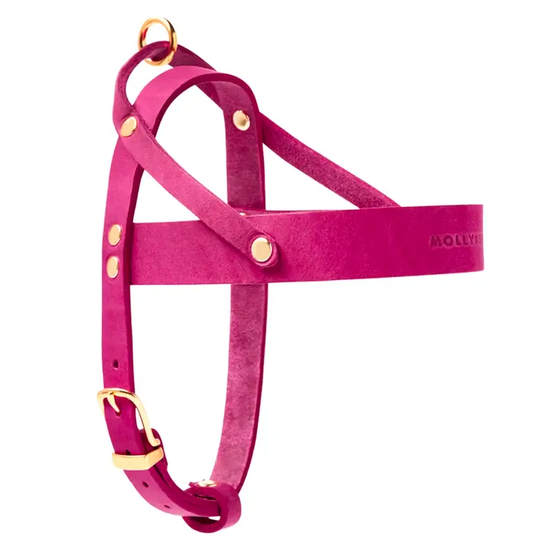 Harnais chien Flamingo Molly & Stitch - Butter Leather - CHOUKETT Paris (2)