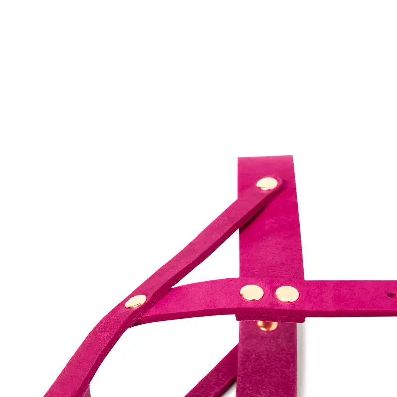 Harnais chien Flamingo Molly & Stitch - Butter Leather - CHOUKETT Paris (3)