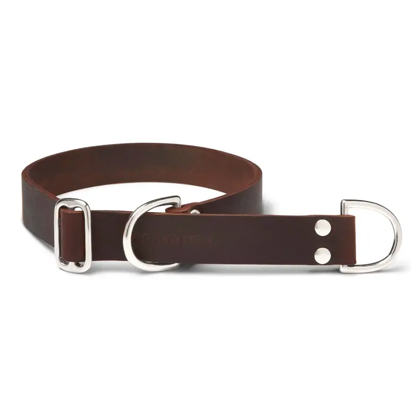 Collier de Retriever chien Classic Brown Molly & Stitch - Butter Leather - CHOUKETT Paris (3)