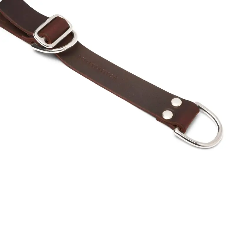 Collier de Retriever chien Classic Brown Molly & Stitch - Butter Leather - CHOUKETT Paris (4)