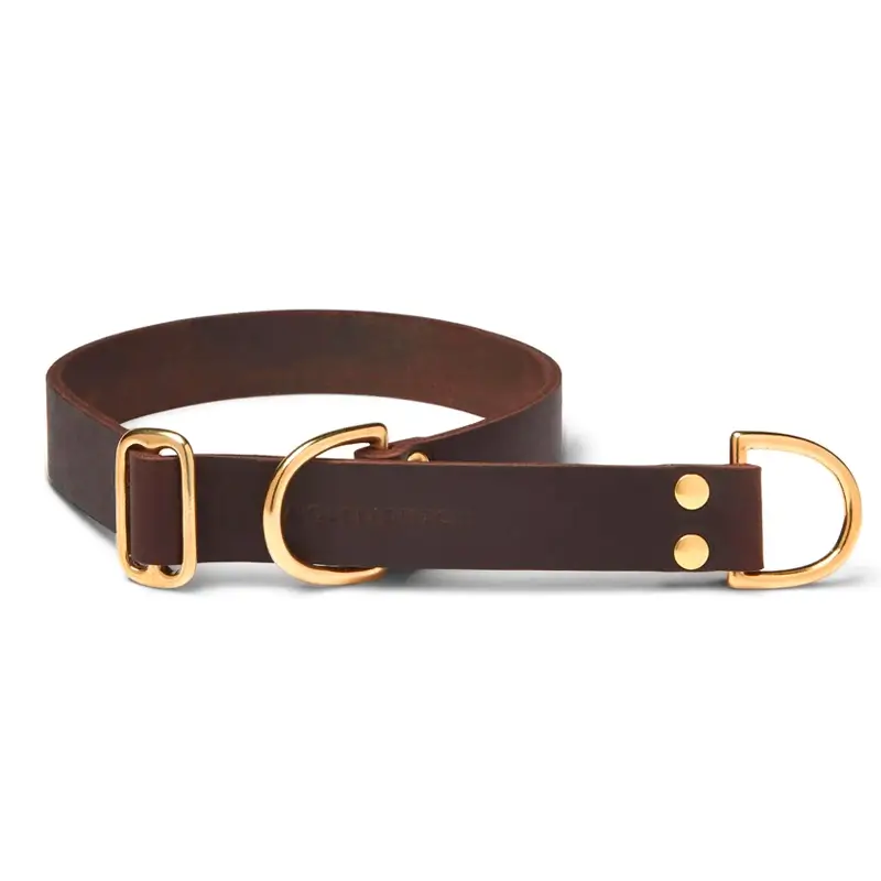 Collier de Retriever chien Classic Brown Molly & Stitch - Butter Leather - CHOUKETT Paris (1)