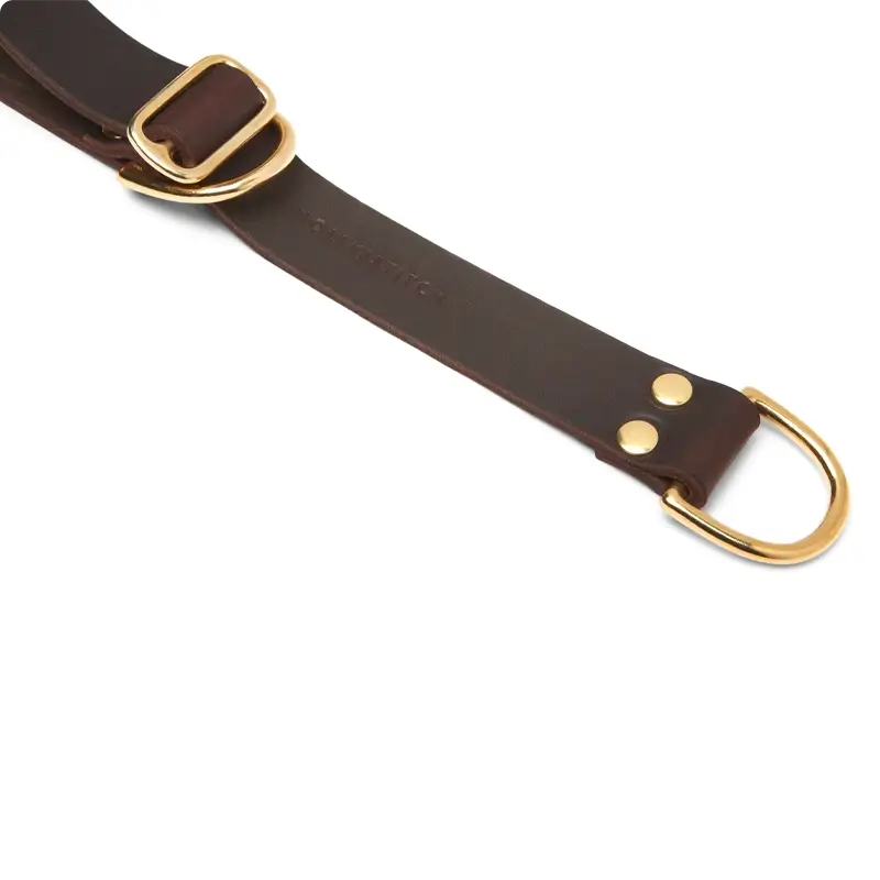 Collier de Retriever chien Classic Brown Molly & Stitch - Butter Leather - CHOUKETT Paris (2)