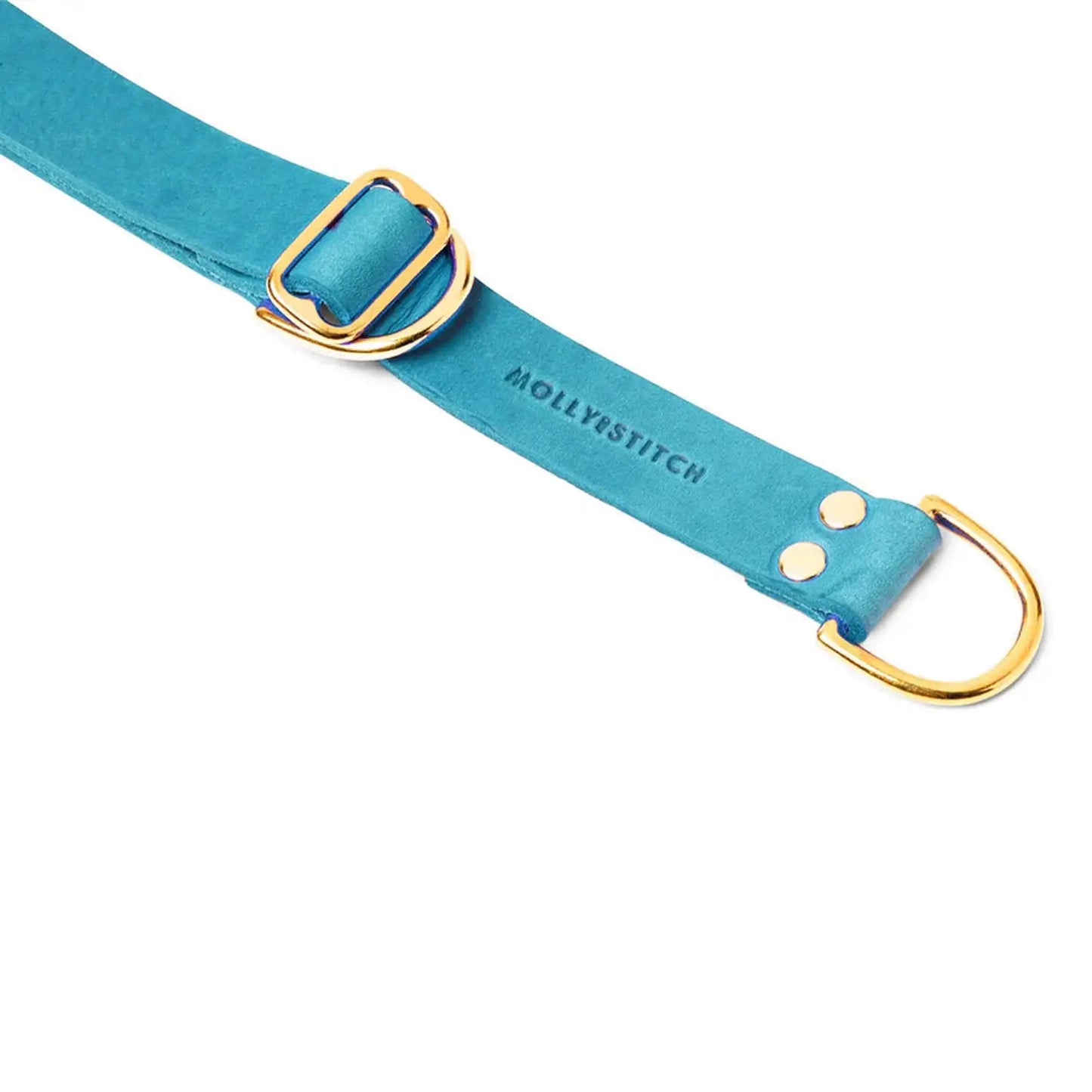 Collier de Retriever chien Fiji Blue Molly & Stitch - Butter Leather - CHOUKETT Paris (2)