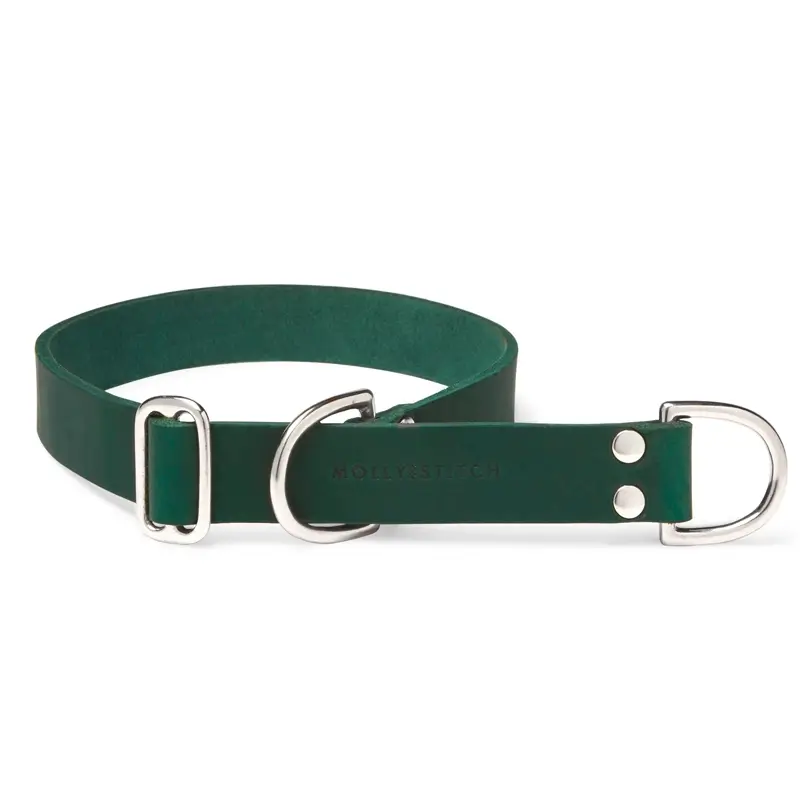 Collier de Retriever chien Forest Green Molly & Stitch - Butter Leather - CHOUKETT Paris (3)