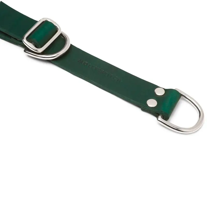 Collier de Retriever chien Forest Green Molly & Stitch - Butter Leather - CHOUKETT Paris (4)