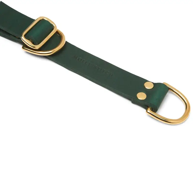 Collier de Retriever chien Forest Green Molly & Stitch - Butter Leather - CHOUKETT Paris (2)
