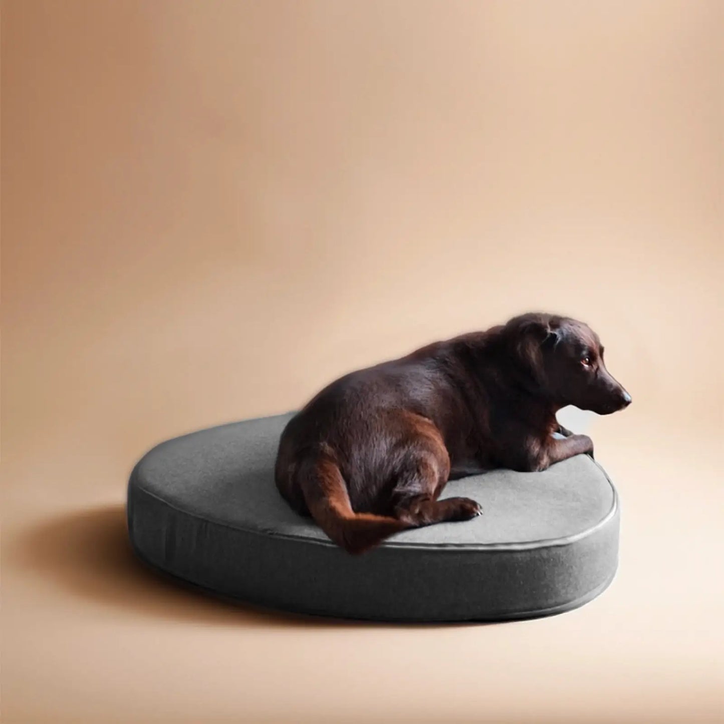 Coussin pour Chien Coccon Kaki - CHOUKETT Paris (2)