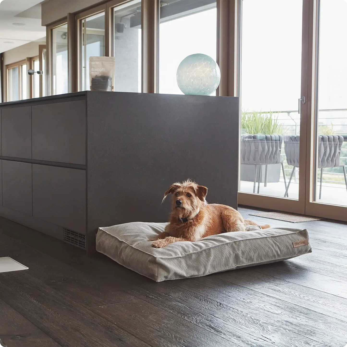 Coussin pour Chien Cordo Greige MiaCara - CHOUKETT Paris (4)