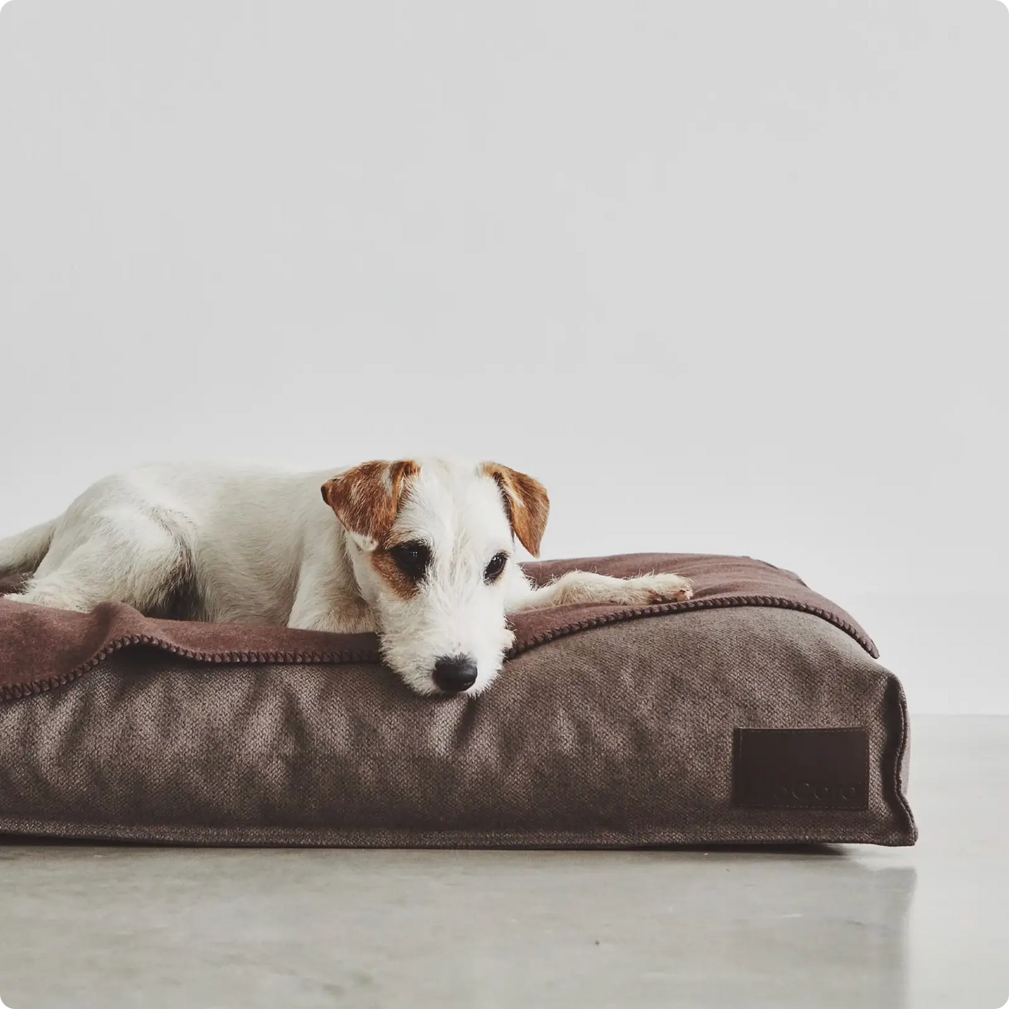 Coussin pour Chien Divo Pebble MiaCara - CHOUKETT Paris (5)