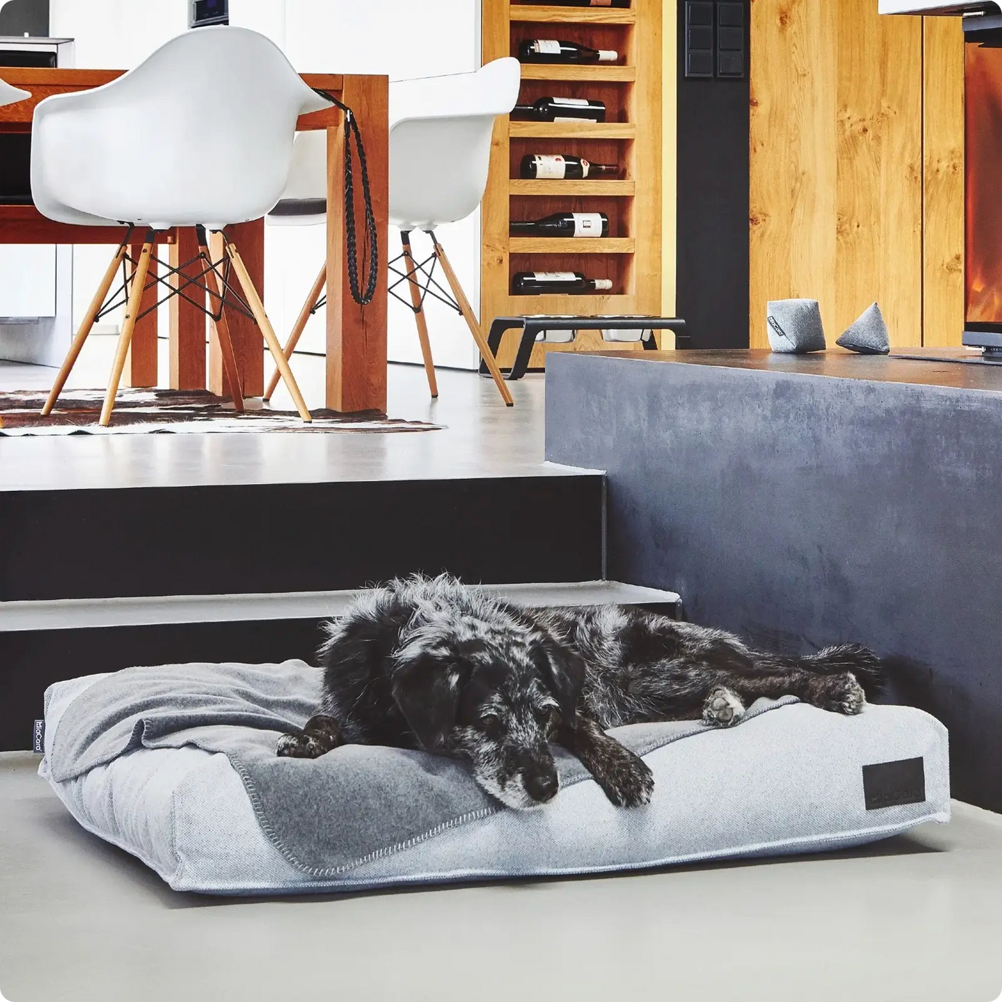 Coussin pour Chien Divo Slate MiaCara - CHOUKETT Paris (5)